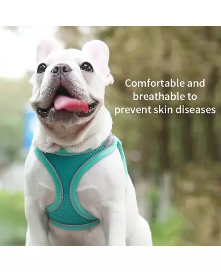 Dog Harness Leash Set for Small Dogs Adjustable Puppy Cat Harness Vest French Bulldog Chihuahua Pug
