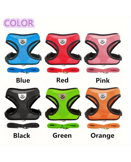 ce54121b ae00 45ba be38 f6b1952f43f4 800x800