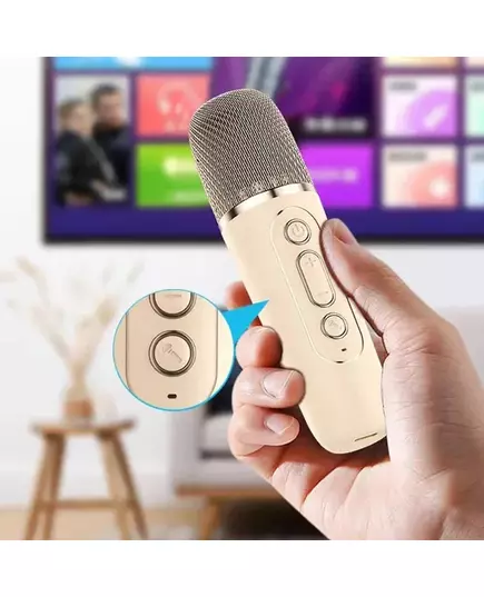 K12 Bluetooth Karaoke Machine Portable 5 3 PA Speaker System with 1 2 Wireless Microphones Home