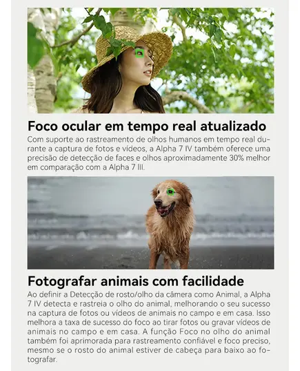 S480f757887c640d883e6fbc8769f9cc2y