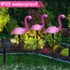 3PCS Flamingo Solar Light Waterproof LED Pink Flamingo Stake Light Landscape Ground Lamp for Outdoor Pathway