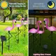 3PCS Flamingo Solar Light Waterproof LED Pink Flamingo Stake Light Landscape Ground Lamp for Outdoor Pathway