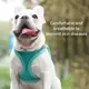Dog Harness Leash Set for Small Dogs Adjustable Puppy Cat Harness Vest French Bulldog Chihuahua Pug