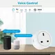 Tuya EWLink WiFi 16A UK Smart Plug Mini Smart Socket Remote Voice Control with Energy Monitor