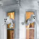 Halloween Cute Ghost Break The Window Decor Prop Adorable Window Crasher Flying Ghosts Outdoor Indoor Decorations
