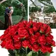 S071c23ae12494a1aac9ea7faf0ae4eaeY