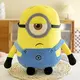 Sef1cf15d6b834968aef026520bb44ce6e